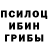 Псилоцибиновые грибы Psilocybe Evolution Ua
