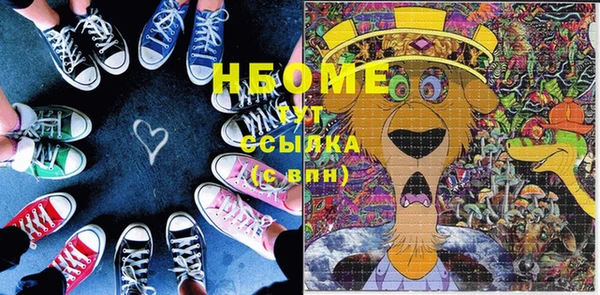 индика Великий Новгород