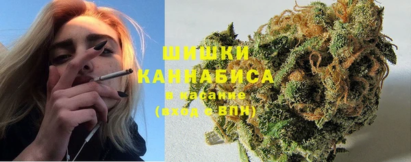 индика Великий Новгород